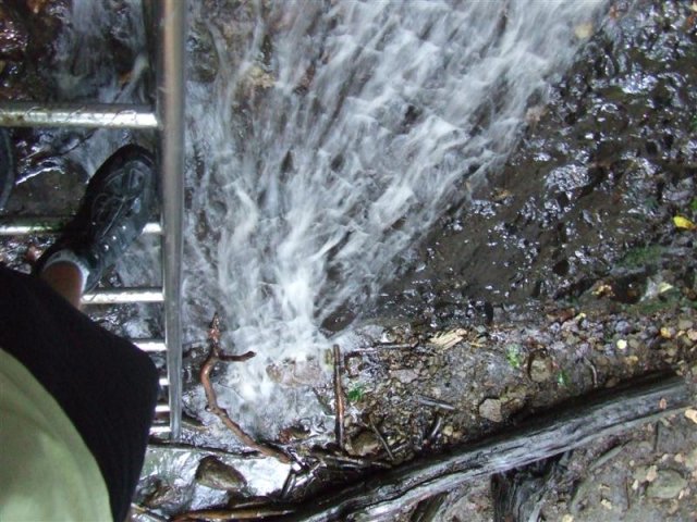 DSCF0170 (Medium)